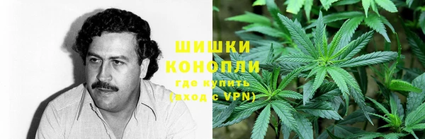 spice Каменногорск