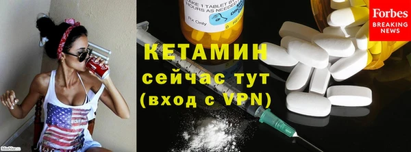 крисы Каменка