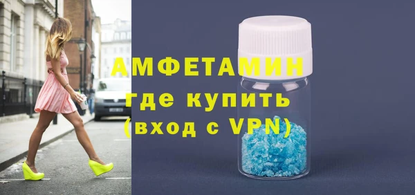 крисы Каменка
