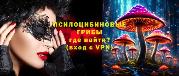 крисы Каменка