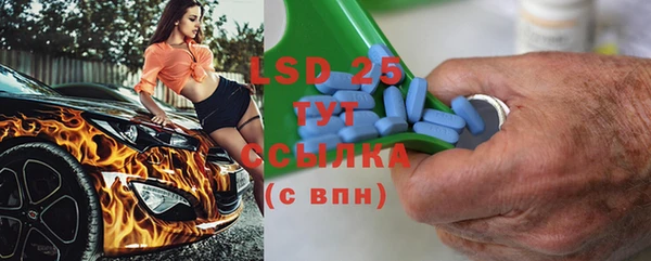 крисы Каменка