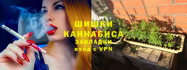 крисы Каменка