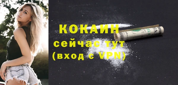 крисы Каменка