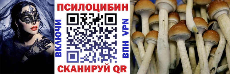 Галлюциногенные грибы GOLDEN TEACHER  Купить закладки  Светогорск 