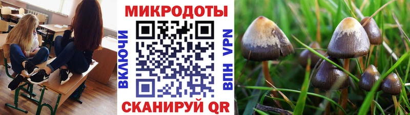 Псилоцибиновые грибы MAGIC MUSHROOMS Светогорск